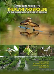 The Pictorial Guide to the Plant and Bird Life of Byram Mangrove Forest Penang 