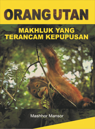 Orang Utan