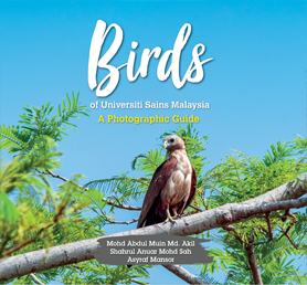 Birds of Universiti Sains Malaysia A Photographic Guide